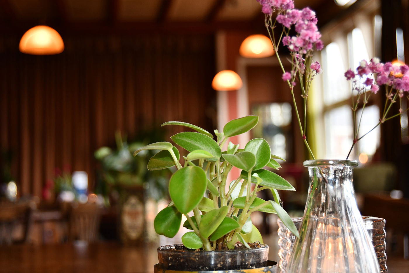 Les Deux Ponts interieur met decoratie, planten en bloemen Les Deux Ponts interieur met decoratie, planten en bloemen